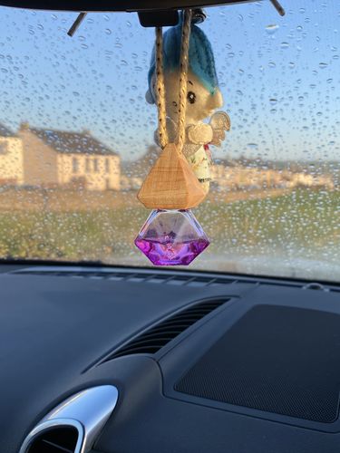Car Fragrance Upsell - Image 3
